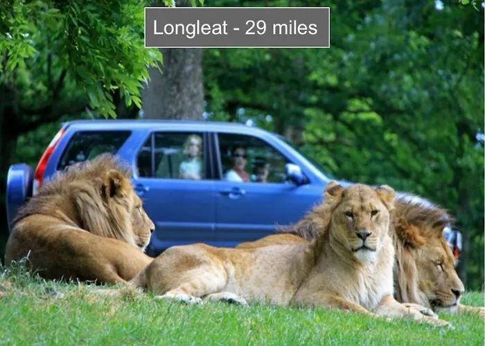 Apartment Luxury Container