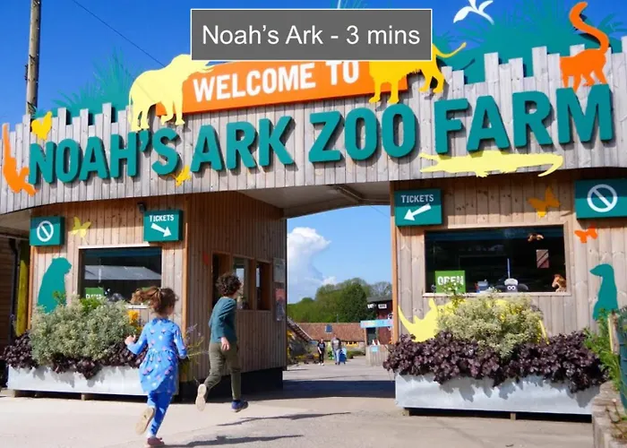 Daire Luxury Container *